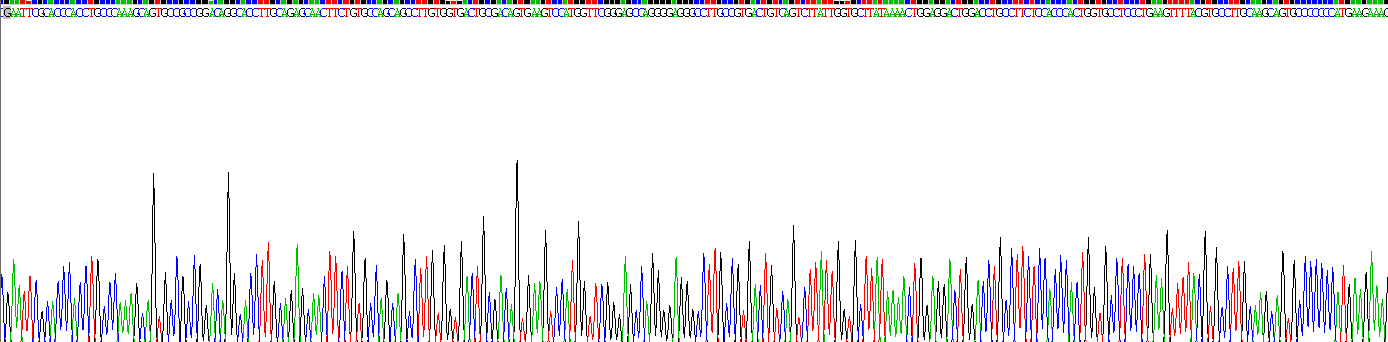 Recombinant Procollagen C-Endopeptidase Enhancer (PCOLCE)