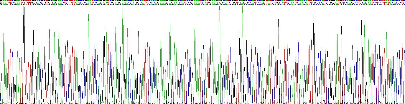 Recombinant MAP Kinase Activated Protein Kinase 2 (MAPKAPK2)