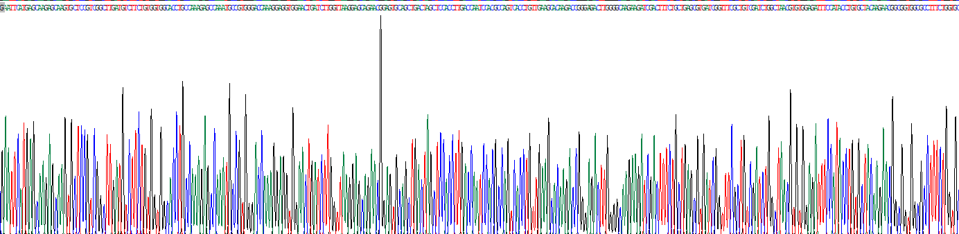 Recombinant Dopamine Transporter (DAT)
