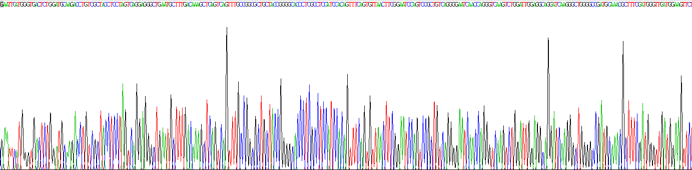 Recombinant Major Basic Protein (MBP)