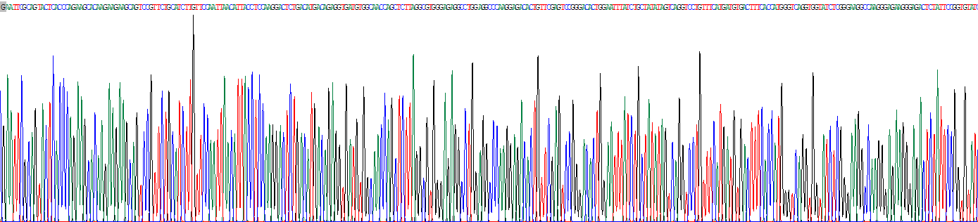 Recombinant Tumor Necrosis Factor Ligand Superfamily, Member 13 (TNFSF13)