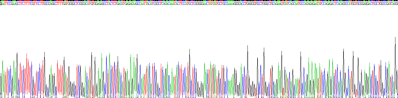 Recombinant Serum Amyloid A2 (SAA2)