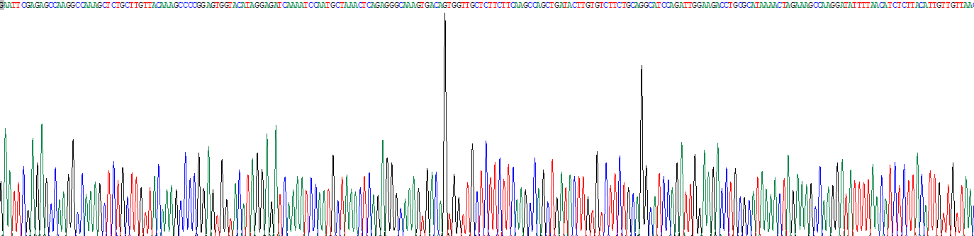 Recombinant Selenoprotein P1, Plasma (SEPP1)