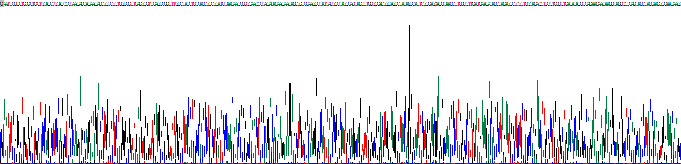 Recombinant Matrix Metalloproteinase 17 (MMP17)