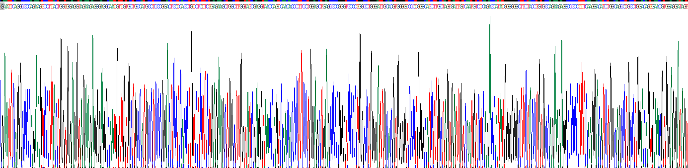 Recombinant Cluster Of Differentiation 19 (CD19)