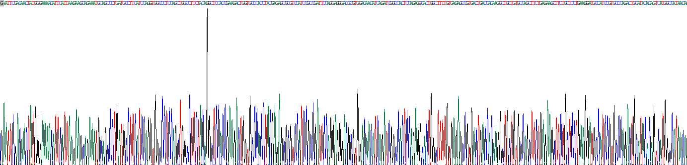 Recombinant Choline Acetyltransferase (ChAT)