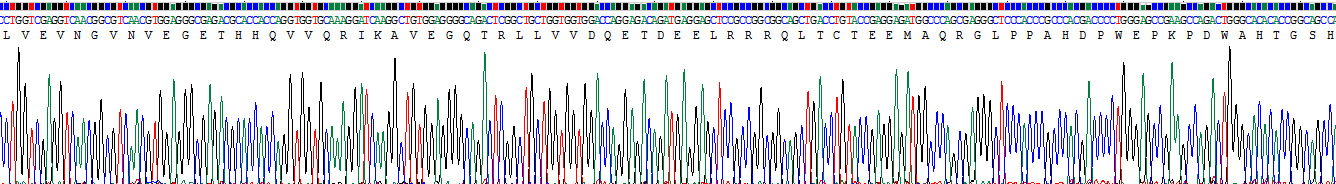 Recombinant Sodium Hydrogen Exchange Regulatory Cofactor 2 (SLC9A3R2)