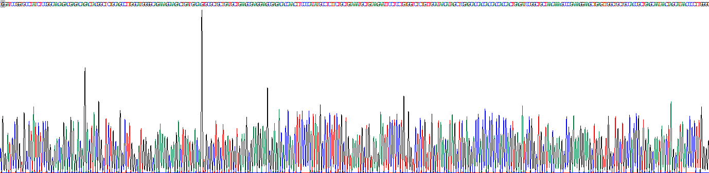 Recombinant Hepcidin (Hepc)