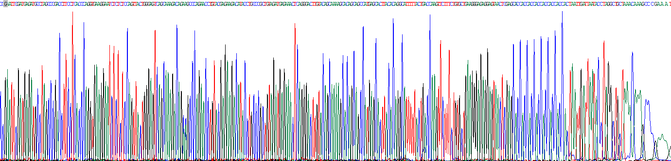 Recombinant Apolipoprotein C2 (APOC2)