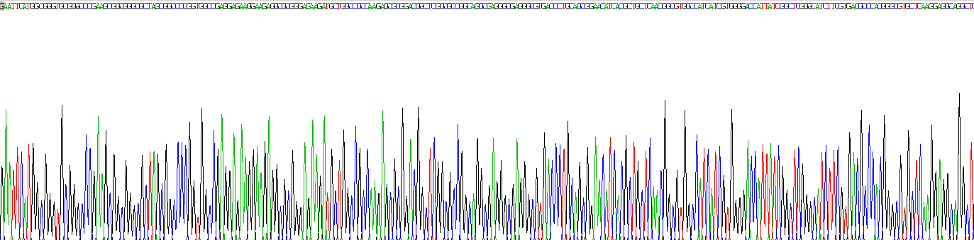 Recombinant Large Neutral Amino Acid Transporter 1 (LAT1)