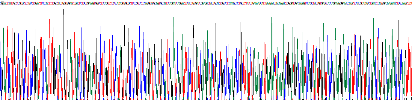 Recombinant Dihydropyrimidine Dehydrogenase (DPYD)