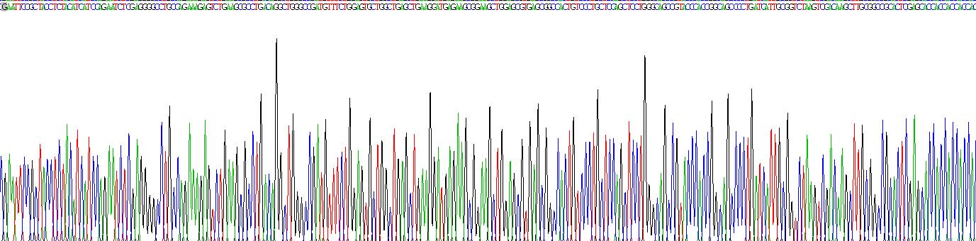 Recombinant Glucose Transporter 4 (GLUT4)