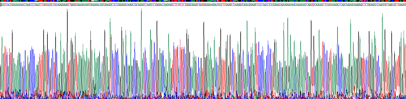 Recombinant Ki-67 Protein (Ki-67)