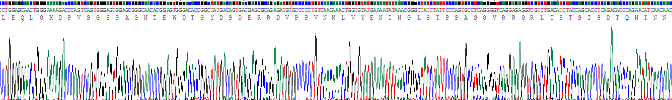 Recombinant Fibroblast Growth Factor Receptor Substrate 2 (FRS2)