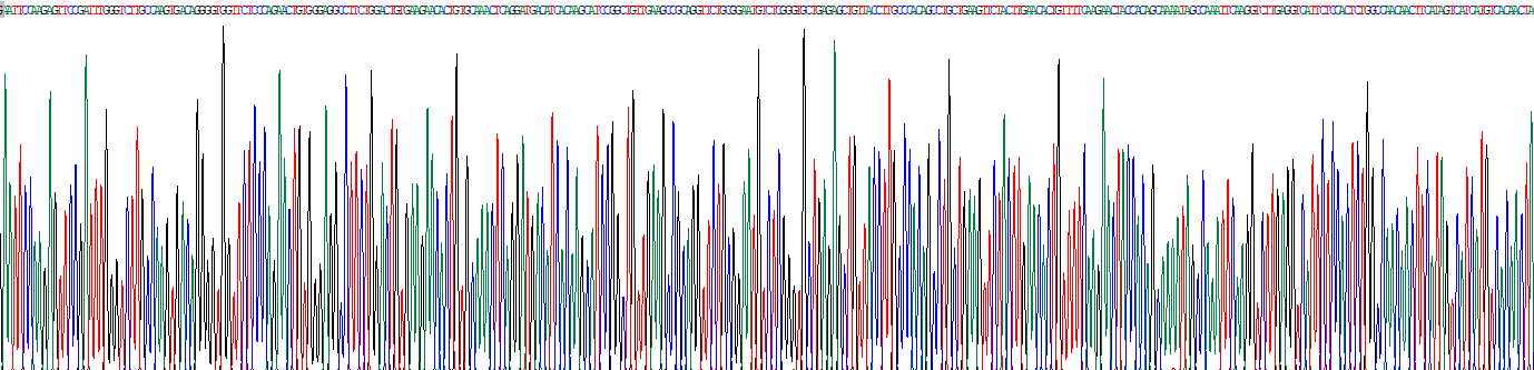 Recombinant Interleukin 24 (IL24)