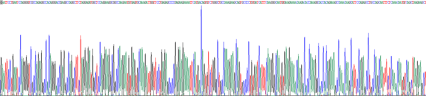 Recombinant VEGF Co Regulated Chemokine 1 (VCC1)