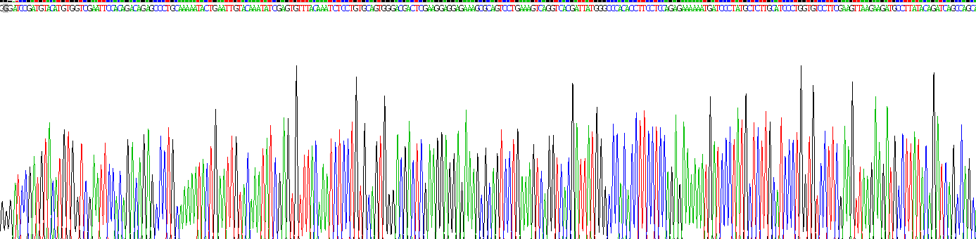 Recombinant Integrin Alpha 8 (ITGa8)