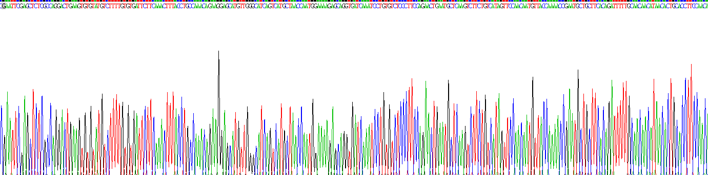 Recombinant Activin A Receptor Type I C (ACVR1C)