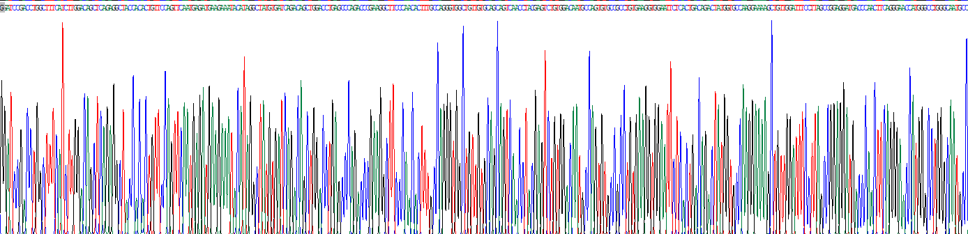 Recombinant Collagen Type VI Alpha 3 (COL6a3)