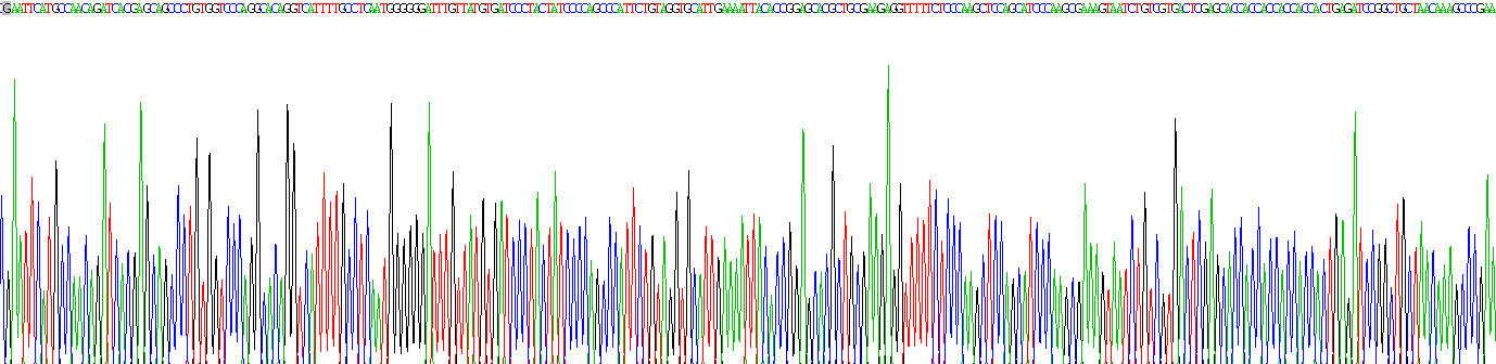 Recombinant Neuregulin 4 (NRG4)