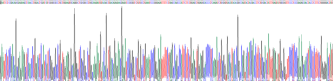 Recombinant Protein Phosphatase 1, Catalytic Subunit Alpha Isoform (PPP1Ca)