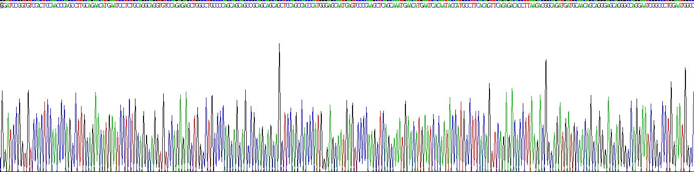 Recombinant E1A Binding Protein P300 (EP300)