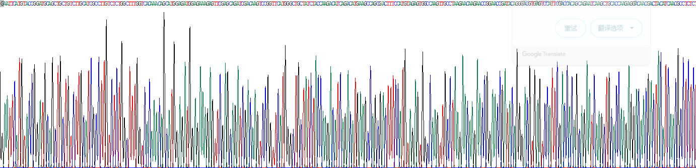 Recombinant Protein Tyrosine Phosphatase, Non Receptor Type 1 (PTPN1)
