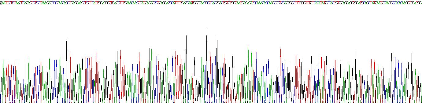 Recombinant Heterogeneous Nuclear Ribonucleoprotein A1 (HNRNPA1)