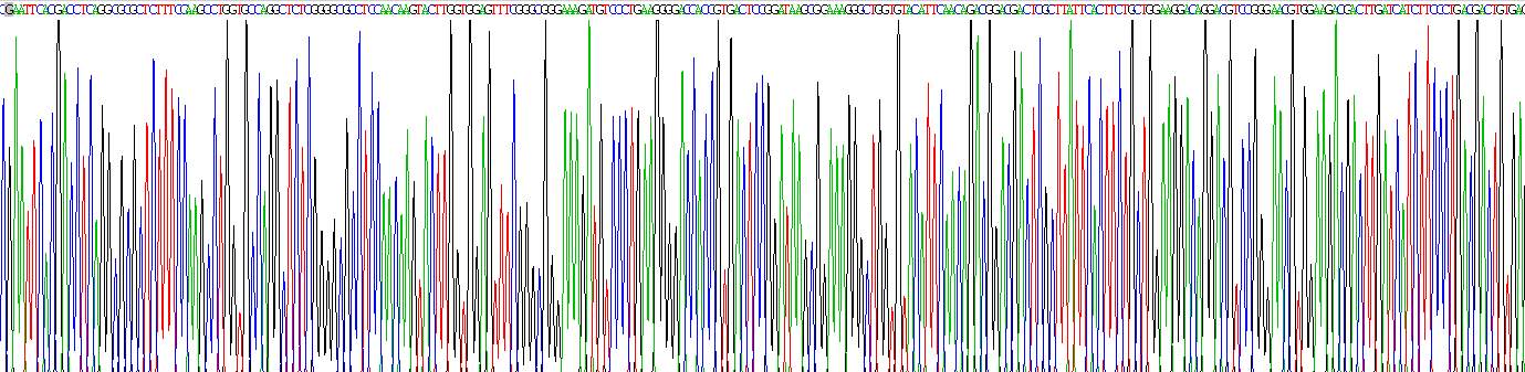 Recombinant Adhesion Regulating Molecule 1 (ADRM1)