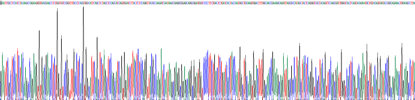 Recombinant Contactin Associated Protein Like Protein 2 (CNTNAP2)