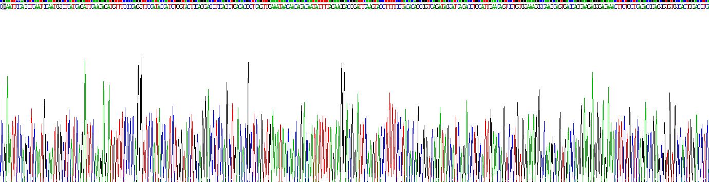 Recombinant Autocrine Motility Factor Receptor (AMFR)