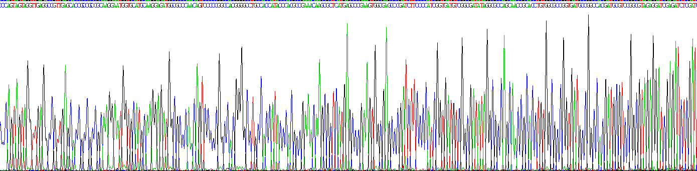 Recombinant Cortistatin (CORT)