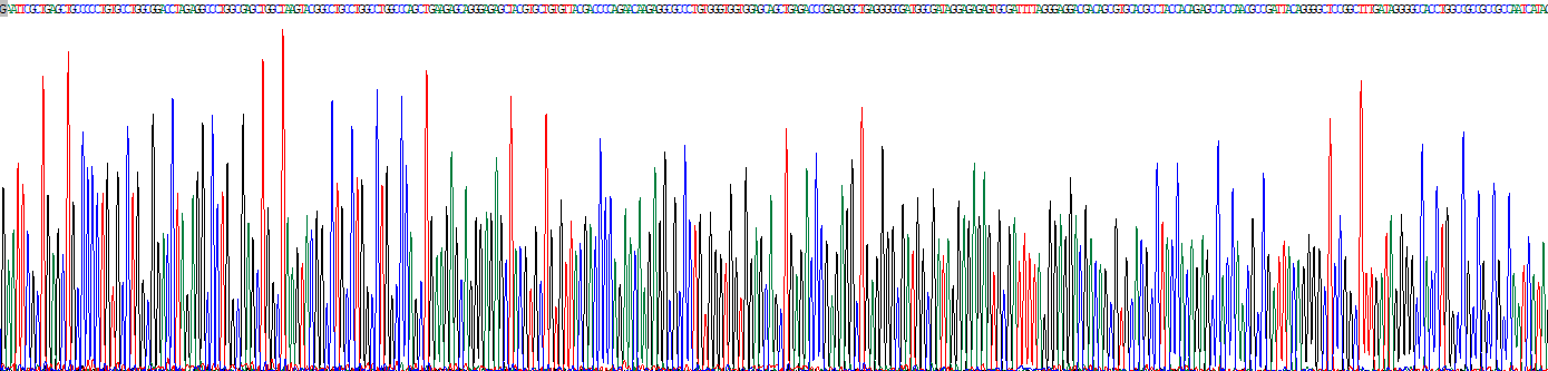 Recombinant Endonuclease G, Mitochondrial (ENDOG)