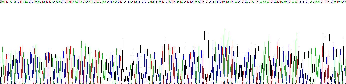 Recombinant Lysyl Oxidase (LOX)