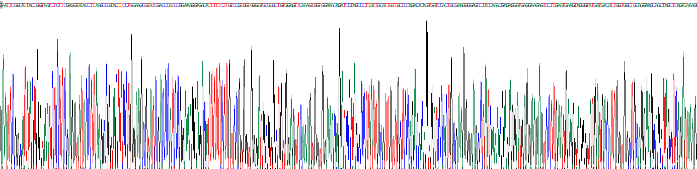 Recombinant Valosin Containing Protein (VCP)