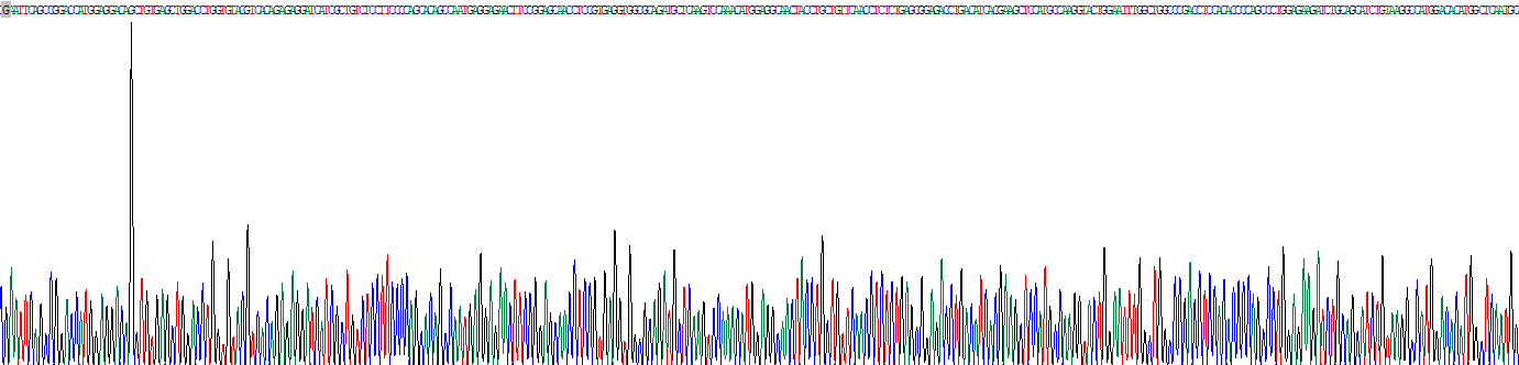 Recombinant Tensin 1 (TNS1)