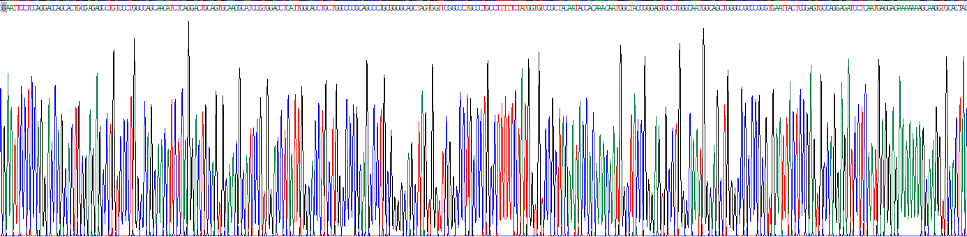 Recombinant Corticotropin Releasing Hormone Receptor 1 (CRHR1)