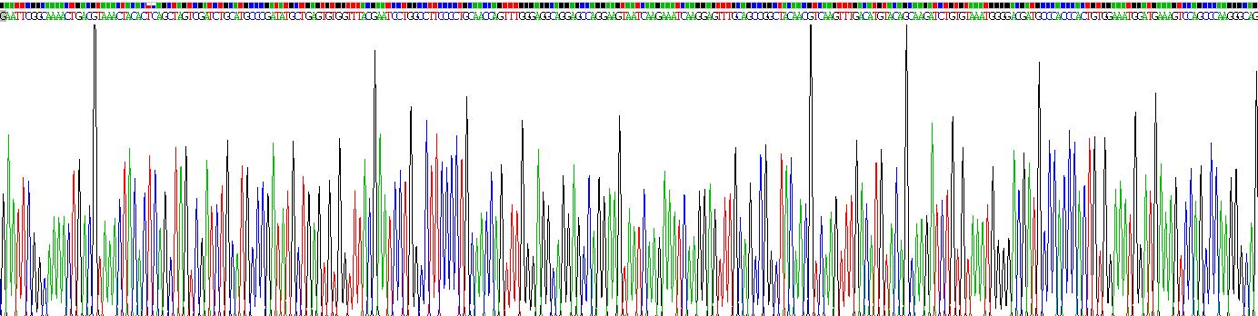 Recombinant Glutathione Peroxidase 4 (GPX4)