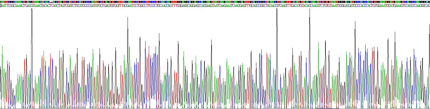 Recombinant Glutathione Peroxidase 4 (GPX4)