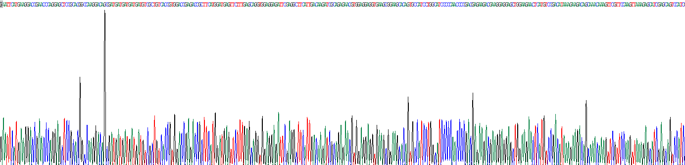 Recombinant Syntaxin 1A, Brain (STX1A)