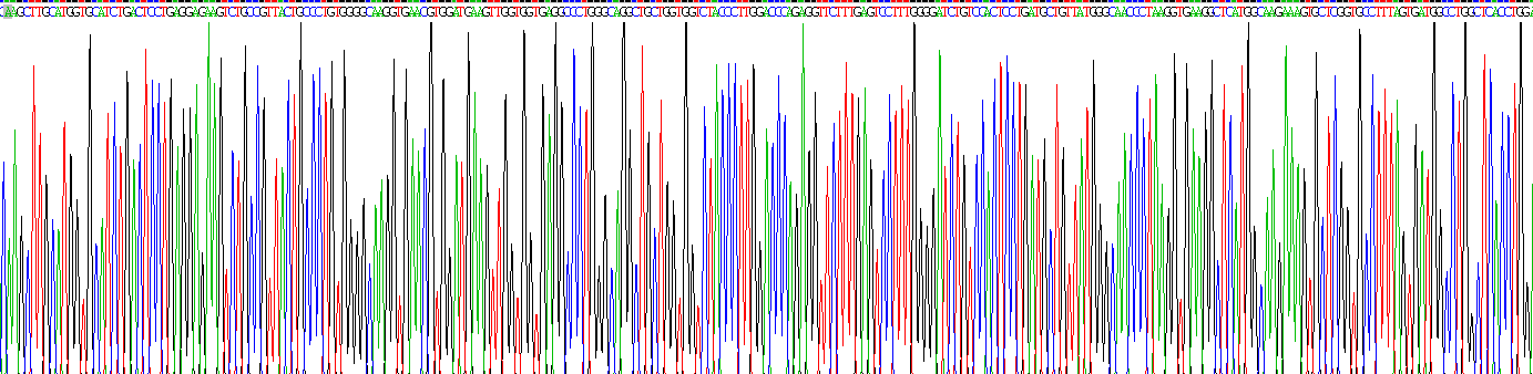 Recombinant Hemoglobin Beta (HBb)