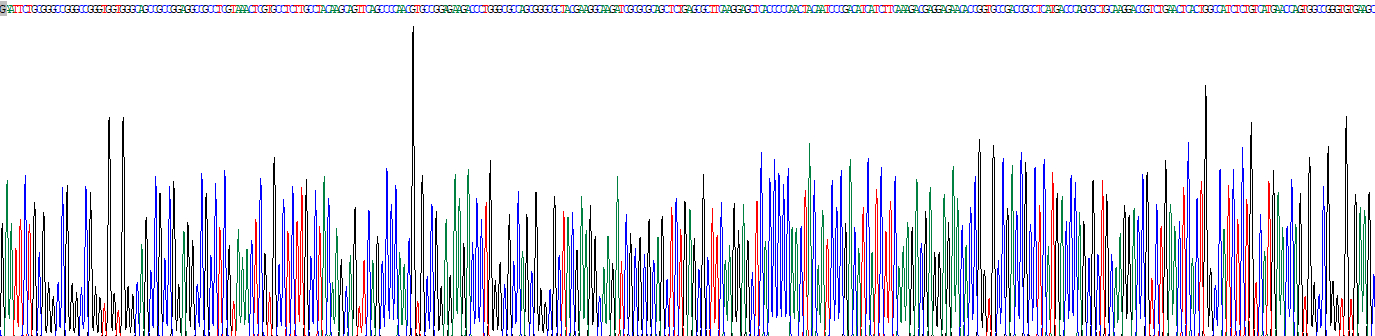 Recombinant Hedgehog Homolog, Indian (IHH)