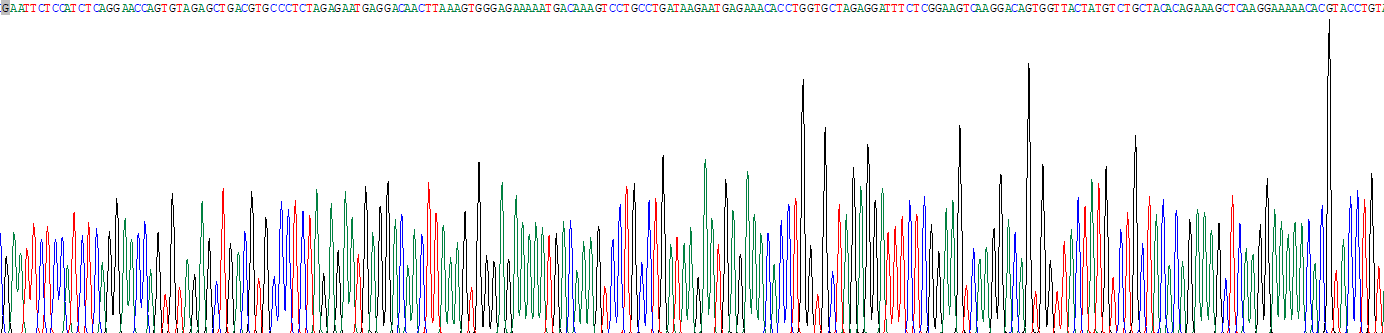 Recombinant T-Cell Surface Glycoprotein CD3 Epsilon (CD3e)