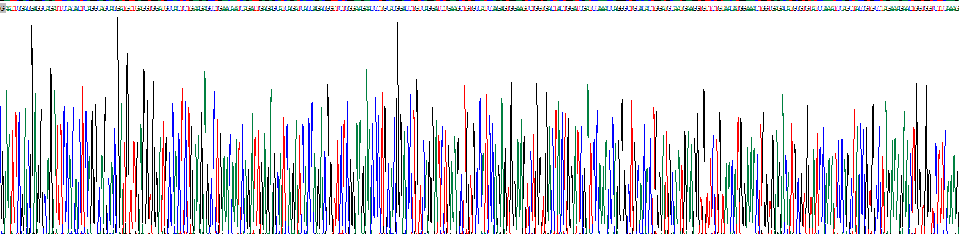 Recombinant Collagen Type II Alpha 1 (COL2a1)