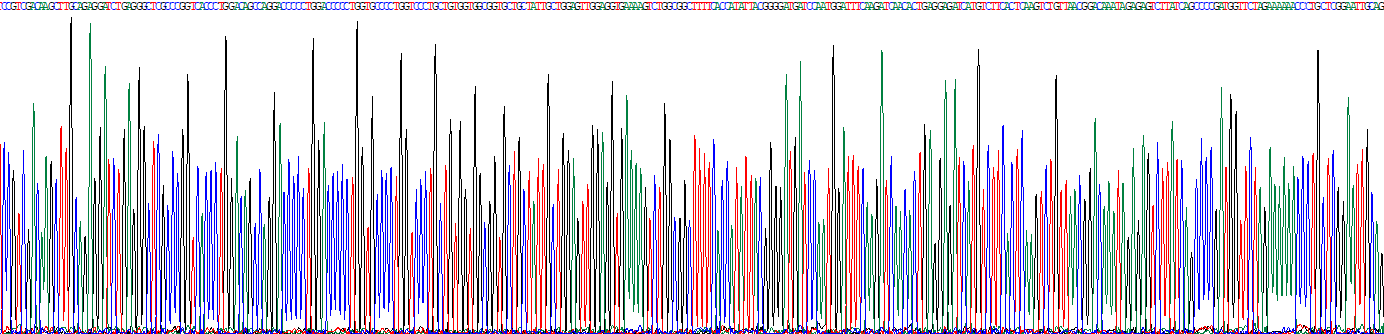 Recombinant Collagen Type III Alpha 1 (COL3a1)