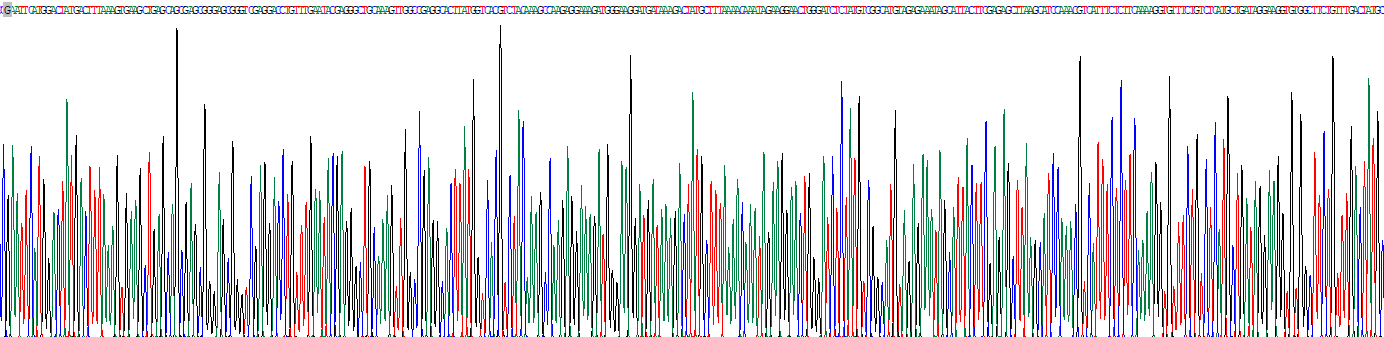 Recombinant Cyclin Dependent Kinase 8 (CDK8)