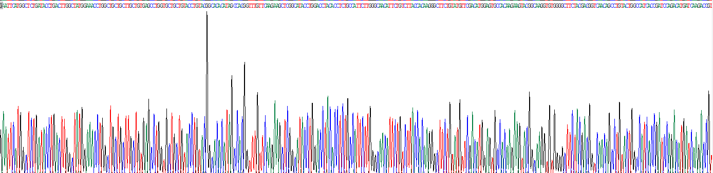 Recombinant Cytochrome P450 3A4 (CYP3A4)