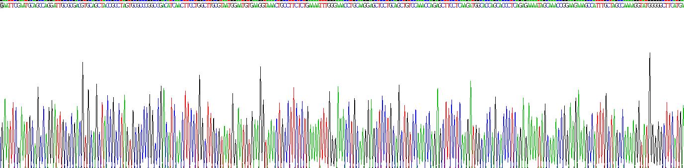 Recombinant Proenkephalin (PENK)