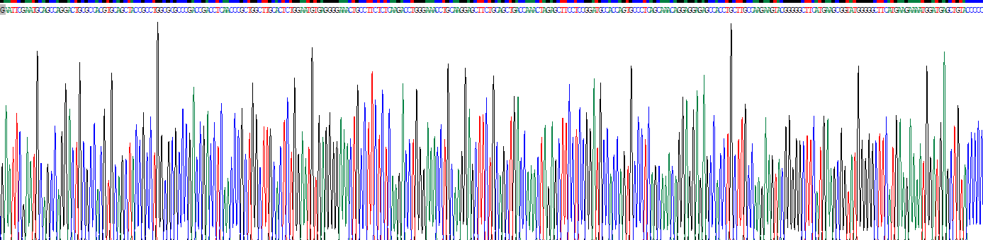 Recombinant Proenkephalin (PENK)