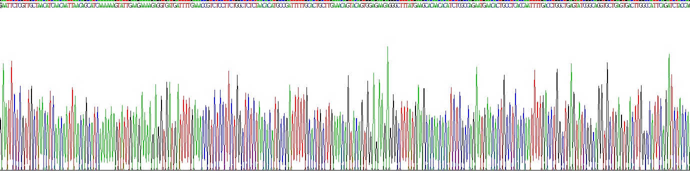 Recombinant Myosin VA (MYO5A)